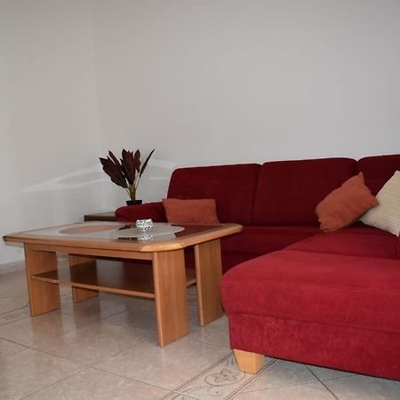 Pet Friendly Apartment Murvi 50 Novigrad Istria Eksteriør billede