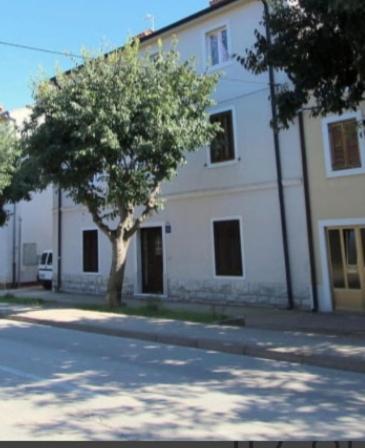 Pet Friendly Apartment Murvi 50 Novigrad Istria Eksteriør billede